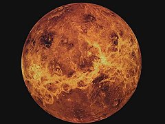 Surface of Venus